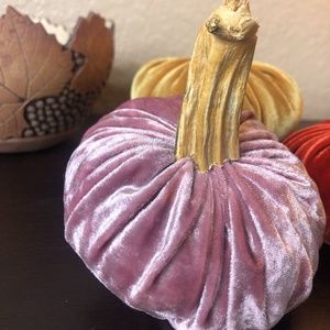 Velvet Pink Pumpkin with Real Stem  Handmade....NEW